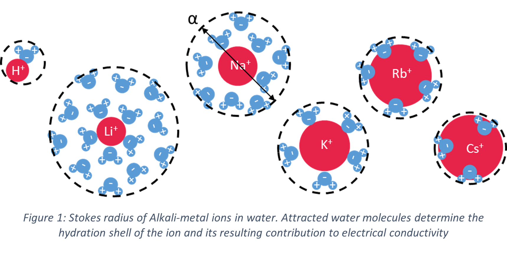 Stokes radius of Alkali-metal ions in water. Attracted water molecules determine the hydration shell of the ion and its resulting contribution to electrical conductivity